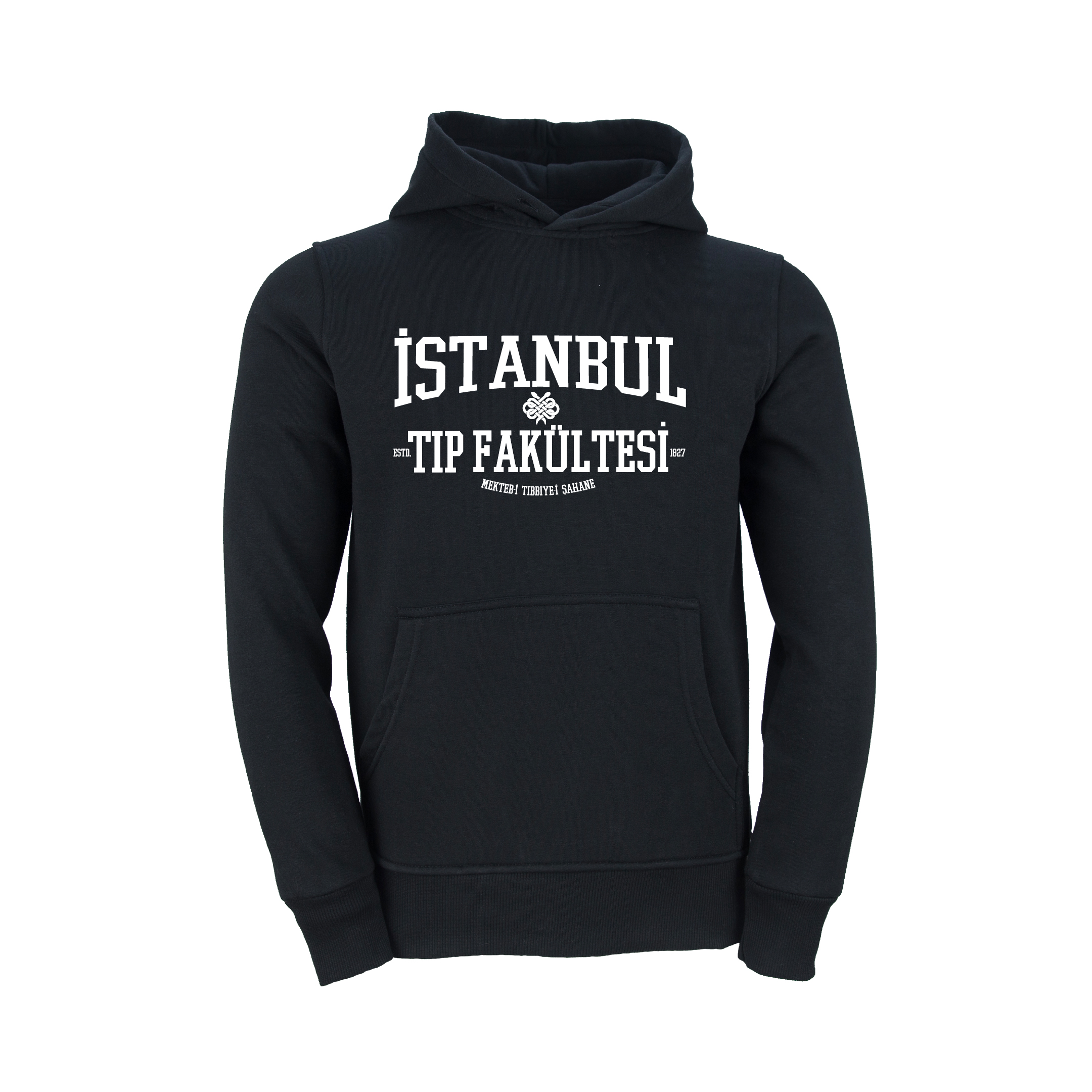 Istanbul Üniversitesi Tip Fakültesi Model 2